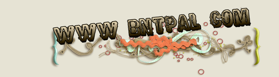 bntpal.com_142788991