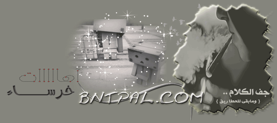 bntpal.com_142796210