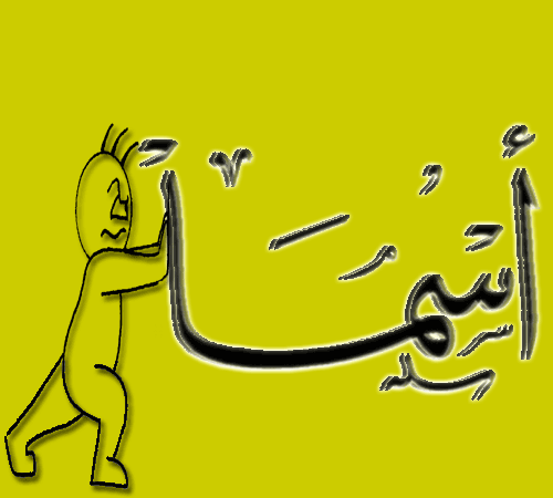  bntpal.com_142812375