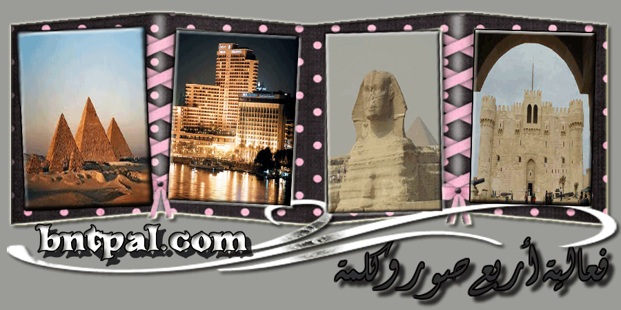  bntpal.com_142813158