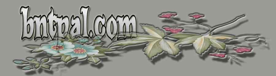  bntpal.com_142813158