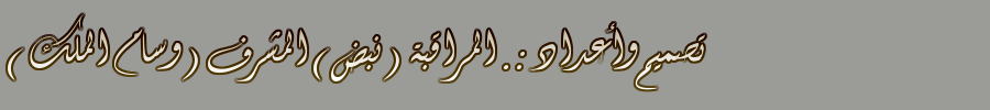  bntpal.com_142813158