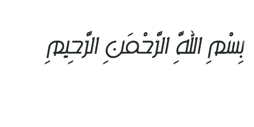  bntpal.com_142813158