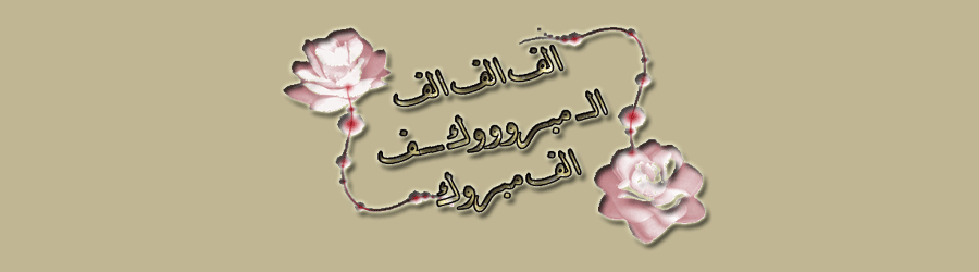 54000 bntpal.com_142830149