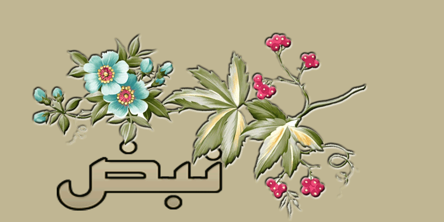 54000 bntpal.com_142830182