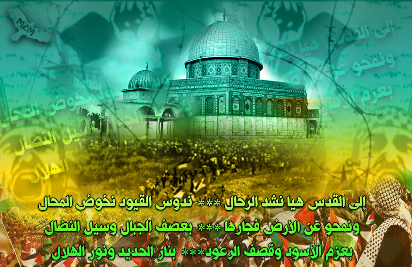 bntpal.com_142856221