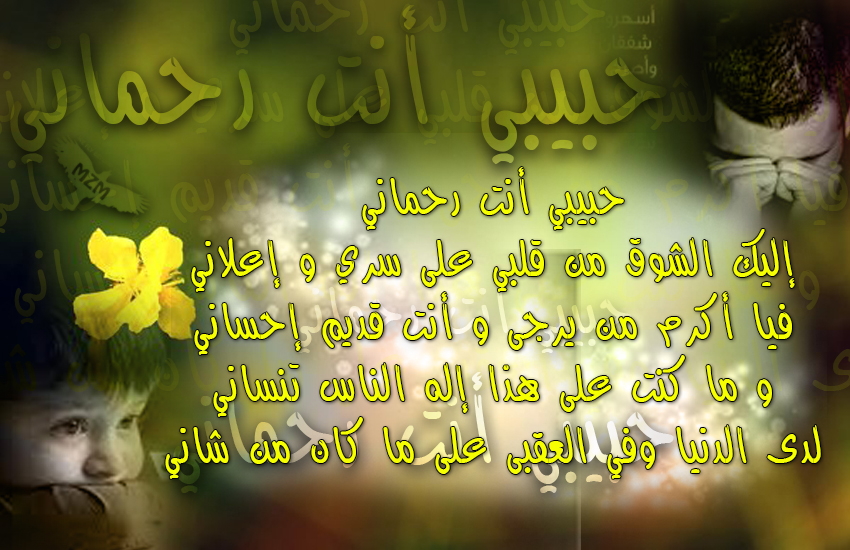 bntpal.com_142951611