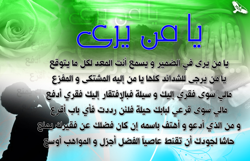 bntpal.com_142968608