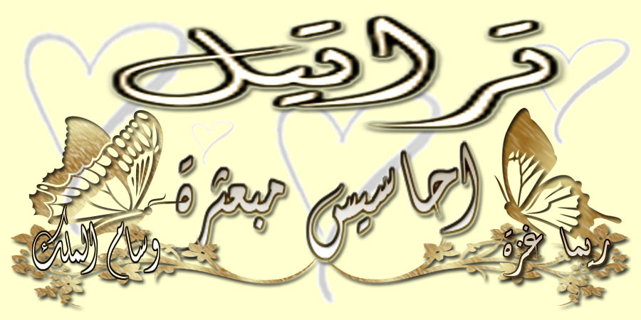 bntpal.com_142976612