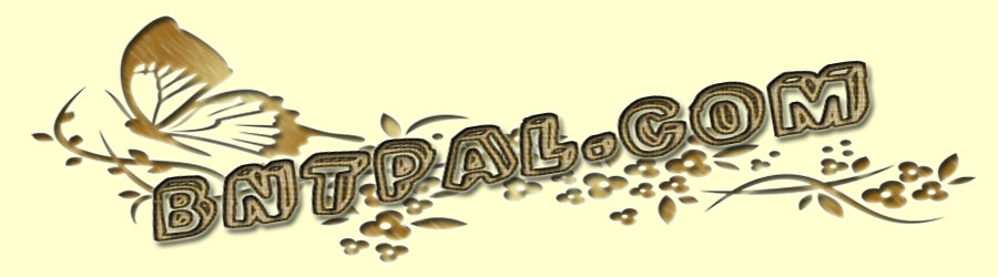 bntpal.com_142976612