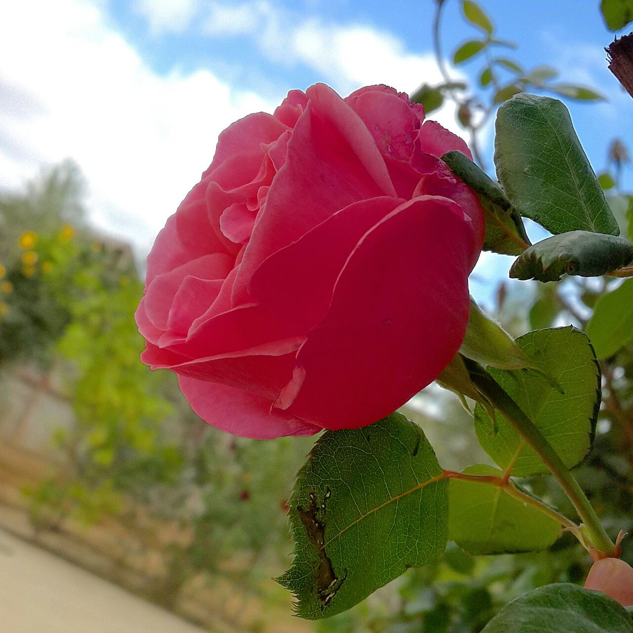 |♥| bntpal.com_143024888