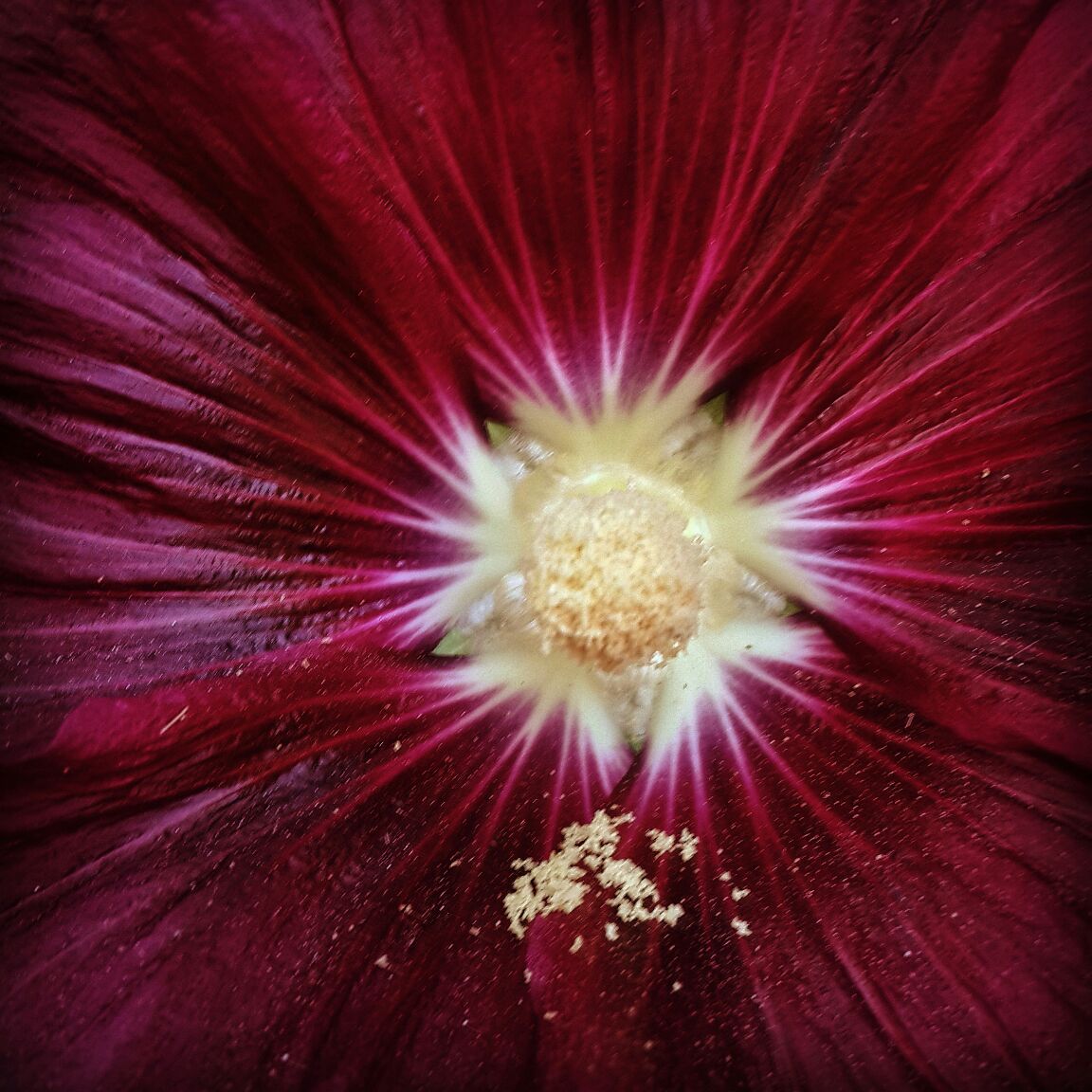 |♥| bntpal.com_143024888