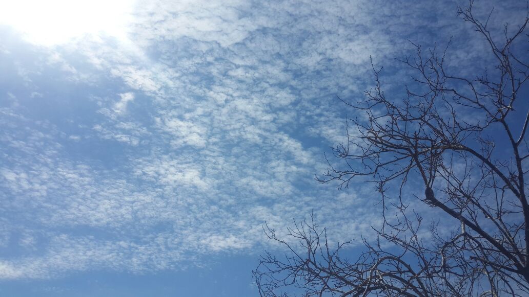|♥| bntpal.com_143024888