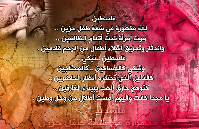 bntpal.com_143098278