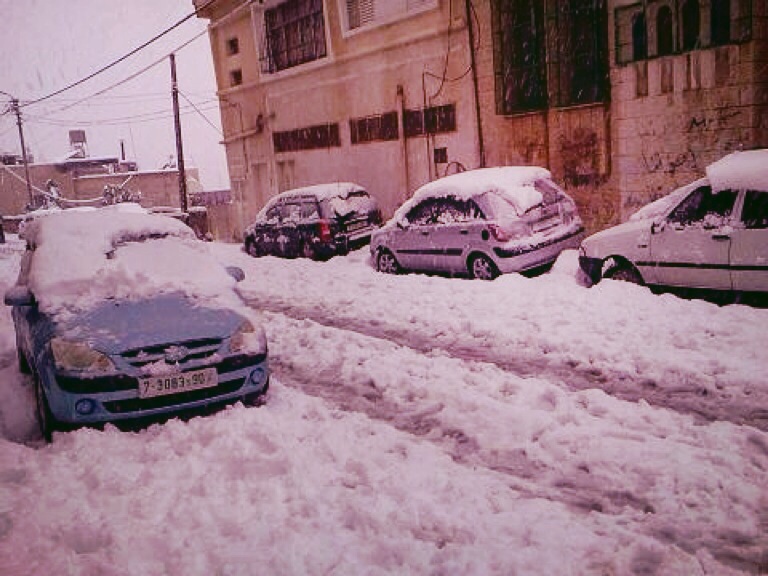  bntpal.com_143125762