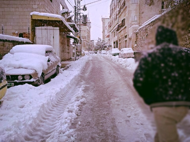  bntpal.com_143125762