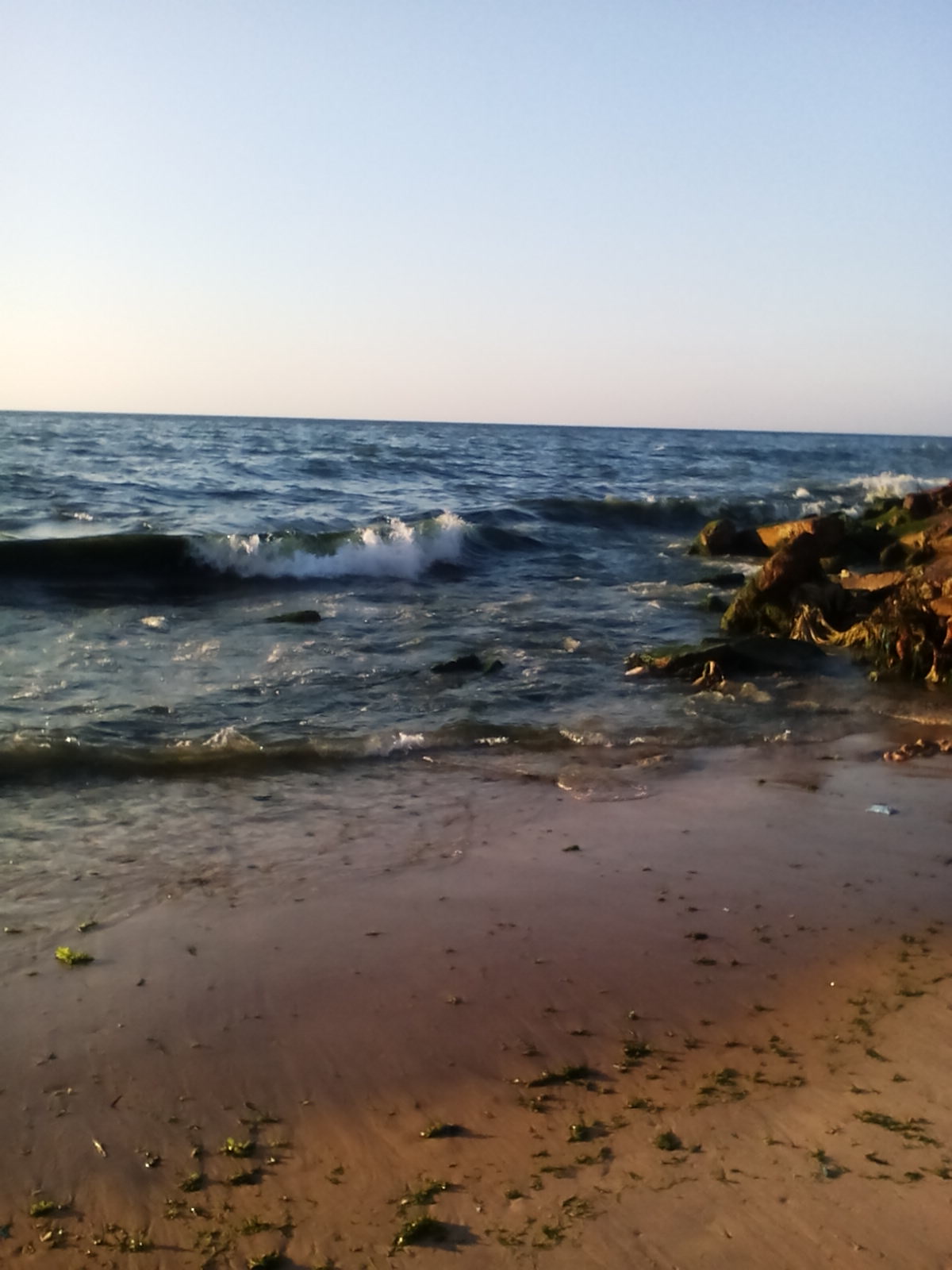 bntpal.com_143171389