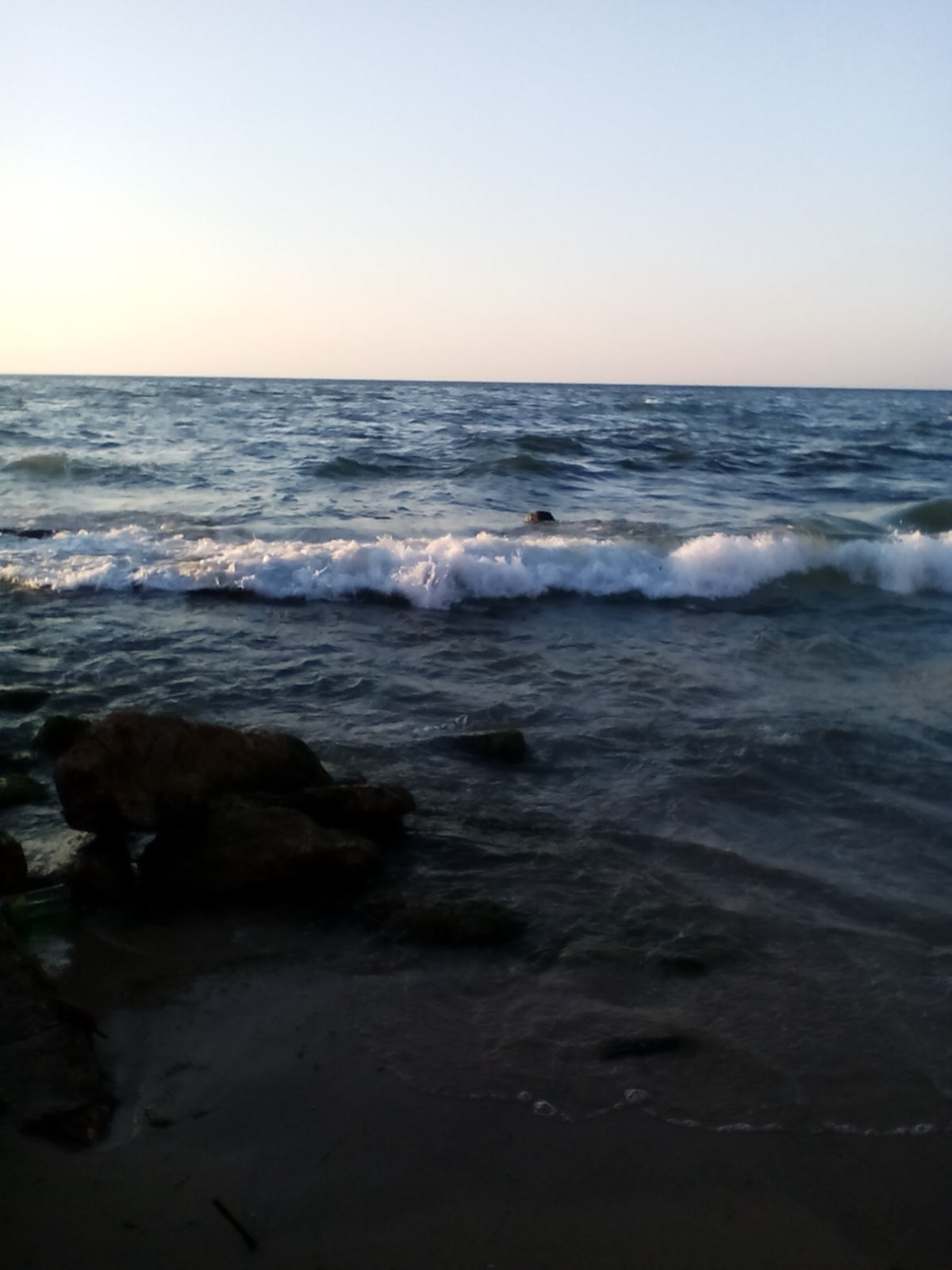 bntpal.com_143171389