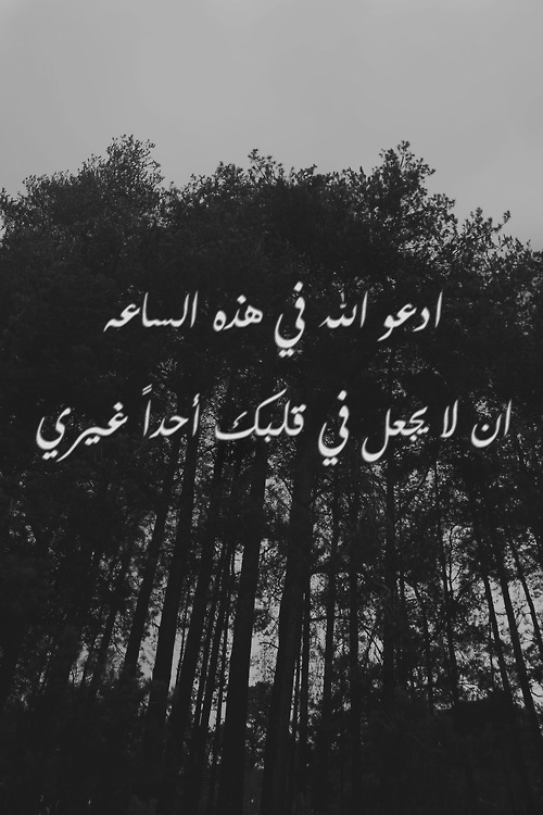 bntpal.com_143181401