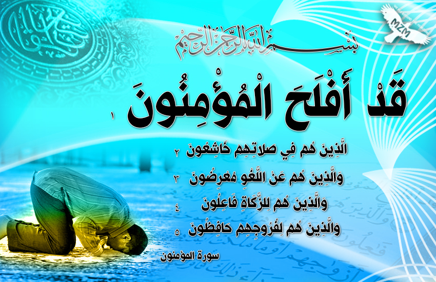 bntpal.com_143193938