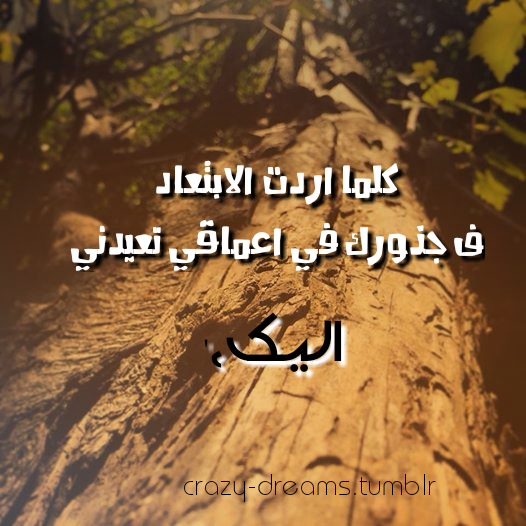  bntpal.com_143297097