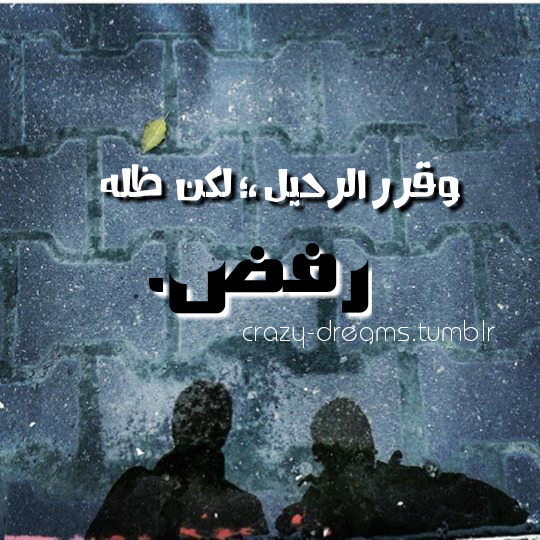 bntpal.com_143297110