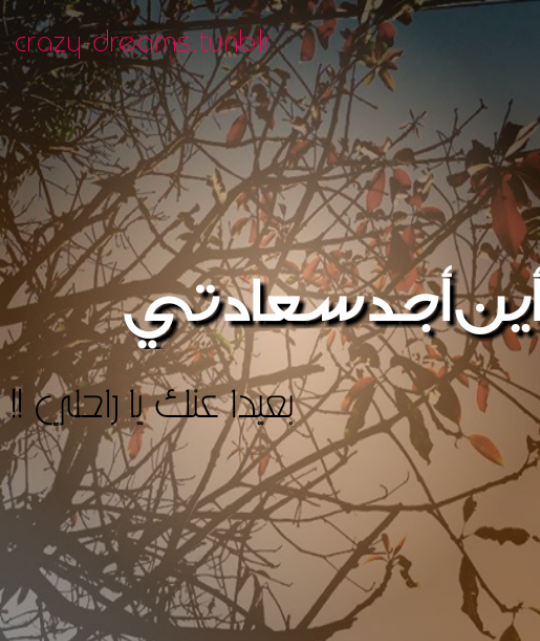  bntpal.com_143297132