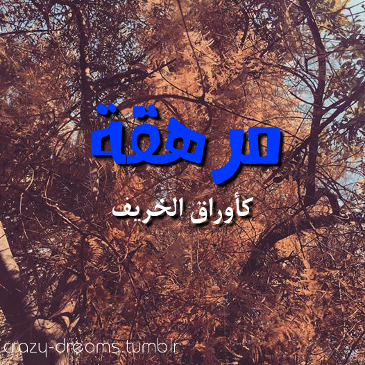  bntpal.com_143297132