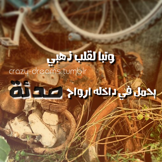  bntpal.com_143297162