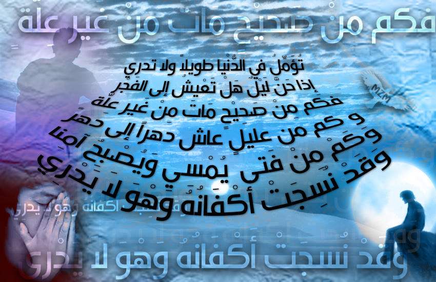 bntpal.com_143324862