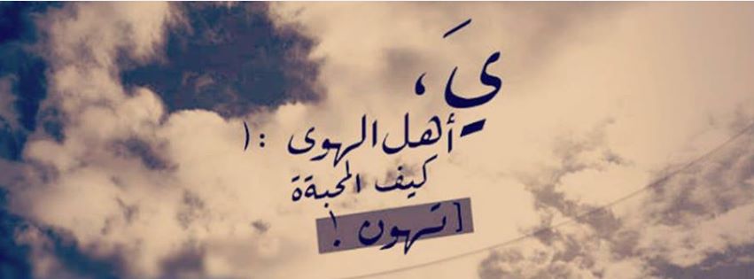 " bntpal.com_143371638