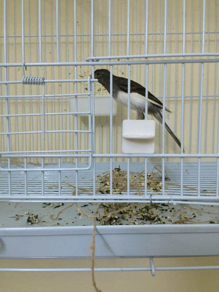   bntpal.com_143374792