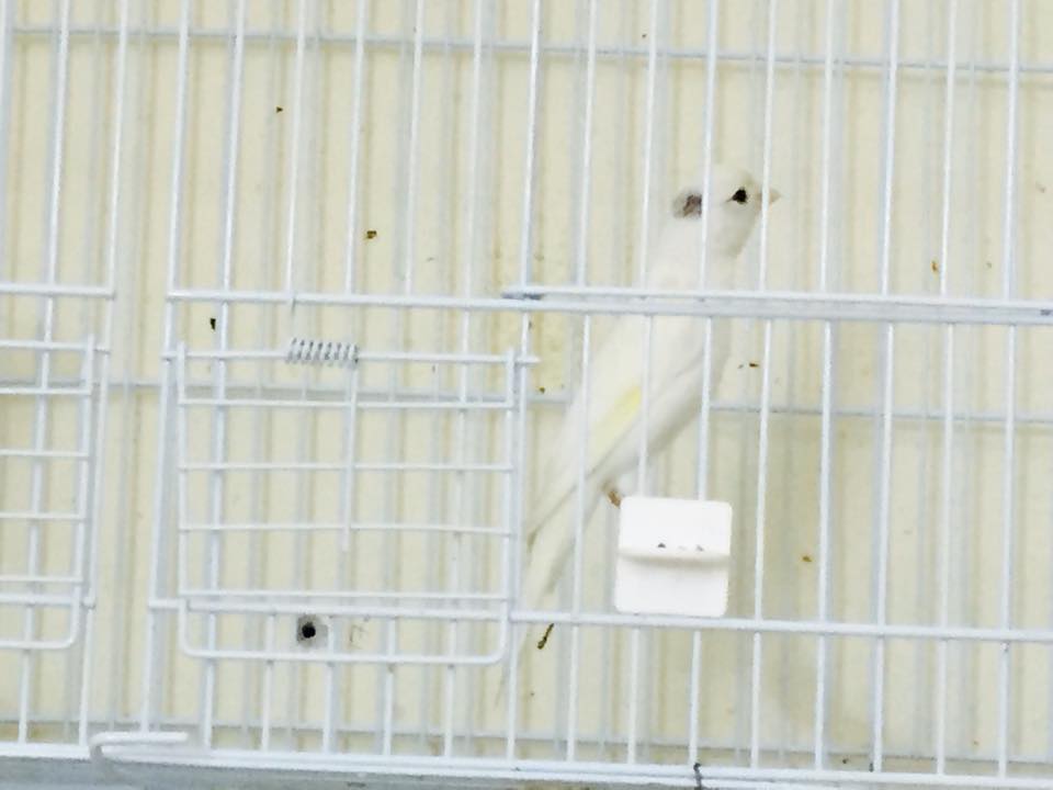   bntpal.com_143374792