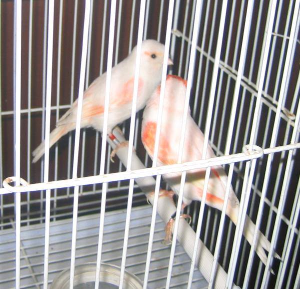   bntpal.com_143374792