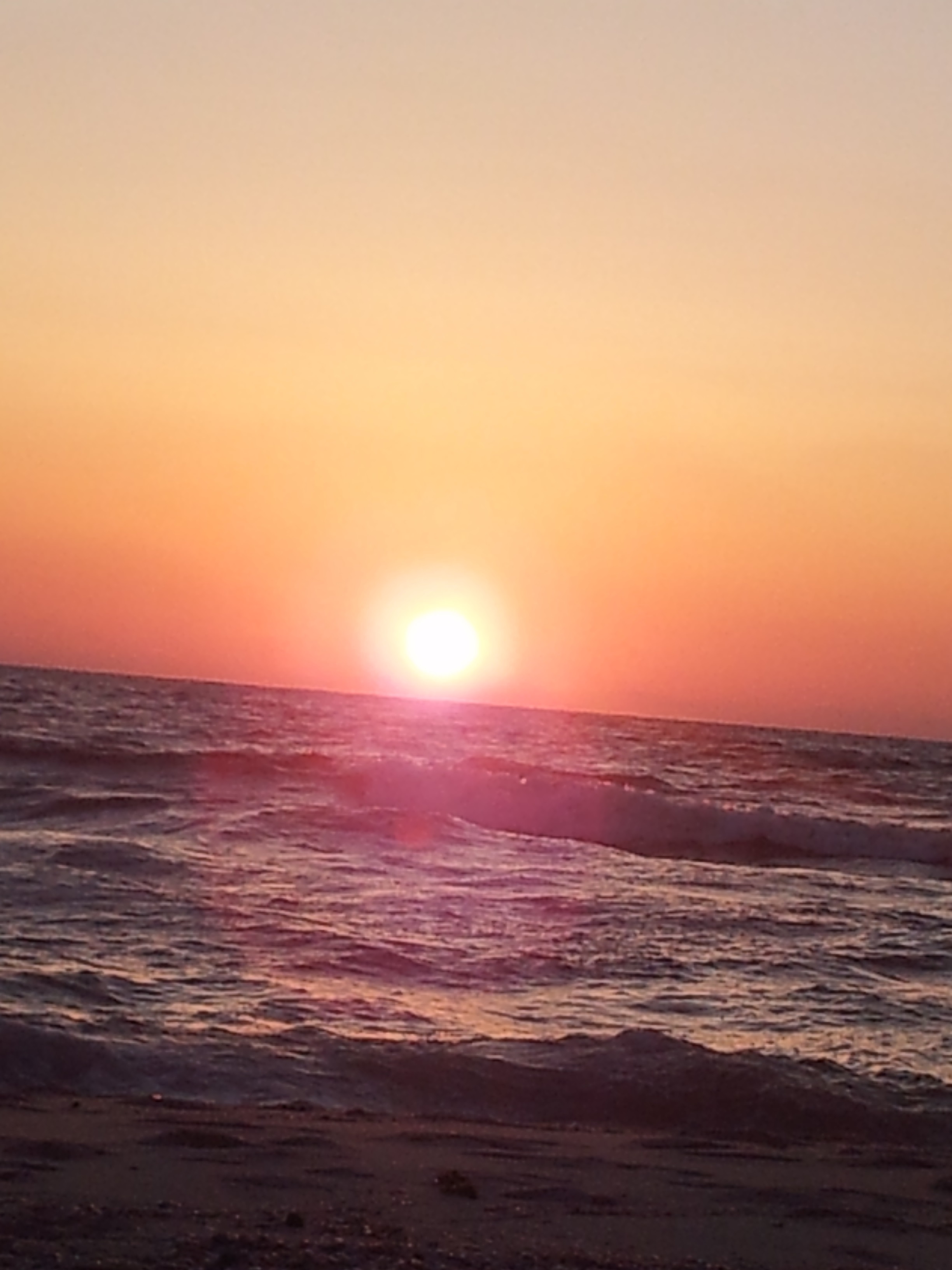 - bntpal.com_143401466