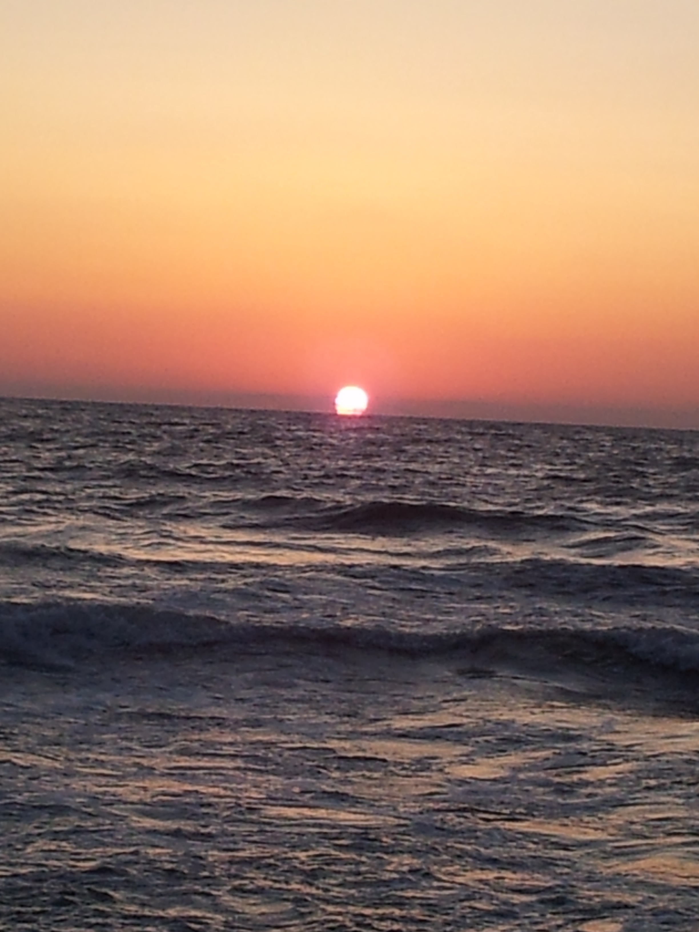 - bntpal.com_143401466