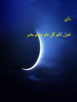 bntpal.com_143448064