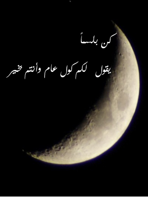 bntpal.com_143448064