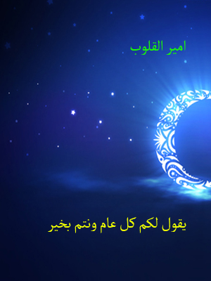 bntpal.com_143448064