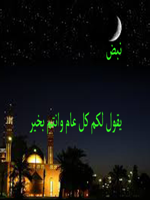 bntpal.com_143448064