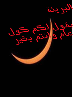bntpal.com_143448064