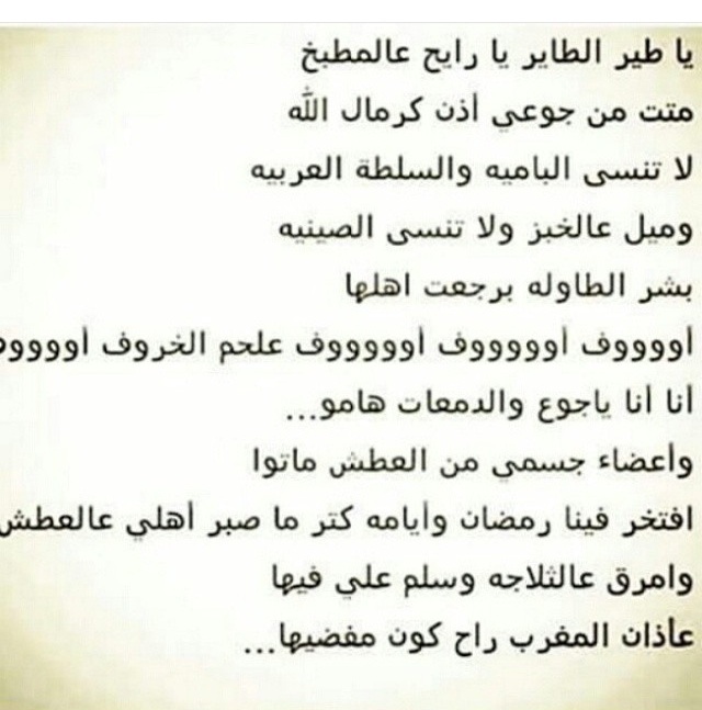 bntpal.com_143497428