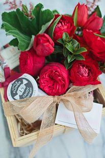 " " bntpal.com_143518361