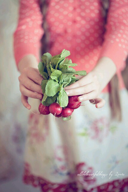 ♥ bntpal.com_143576557
