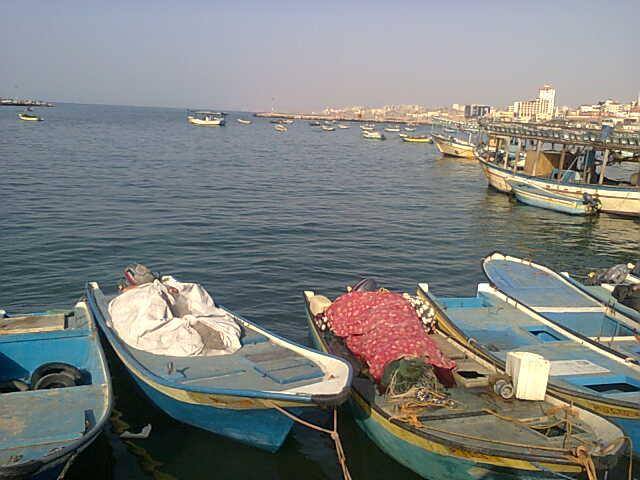 " .. " bntpal.com_143617189