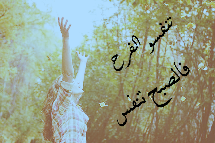 ☺ bntpal.com_143636603