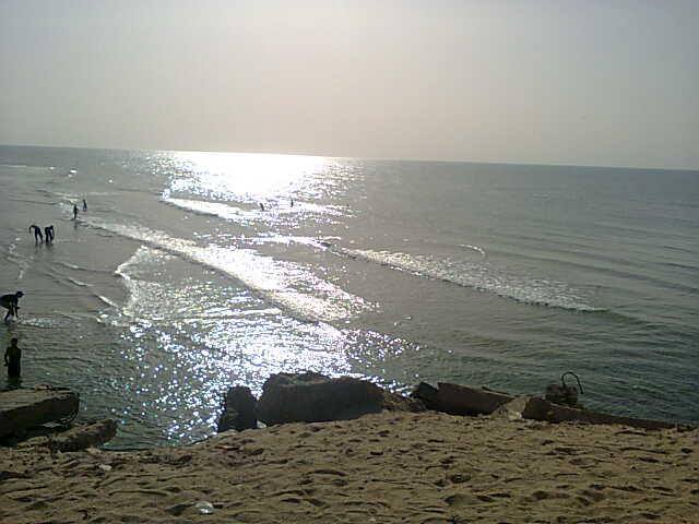 " .. " bntpal.com_143651503