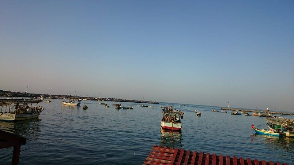 " .. " bntpal.com_143651503