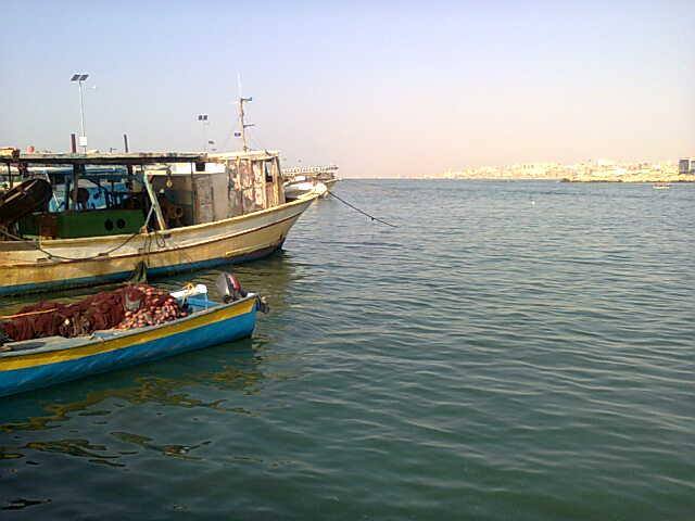 " .. " bntpal.com_143651503