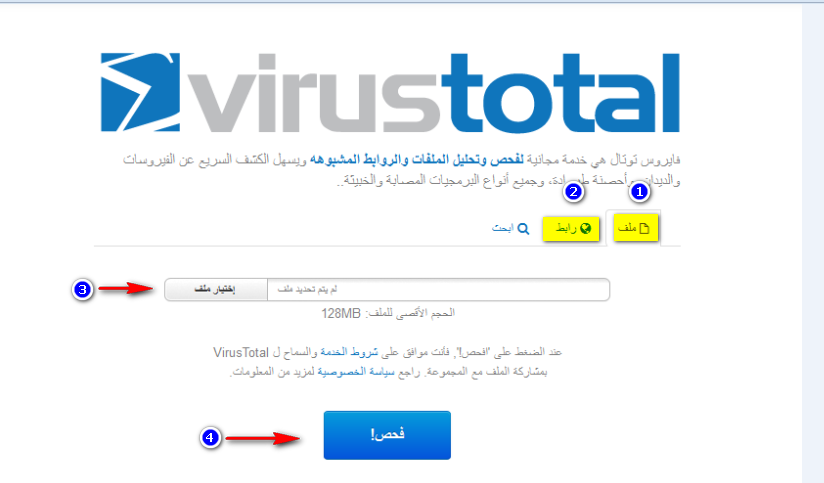 bntpal.com_143749151